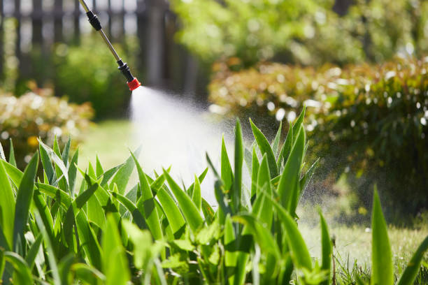 Tamper-Resistant Bait Stations for Rodents in Greybull