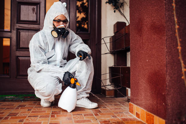 Attic and Crawl Space Rodent Treatment in Greybull