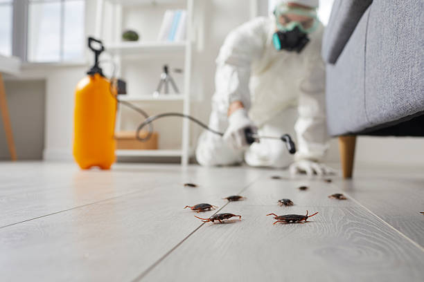 Commercial Rodent Management in Greybull